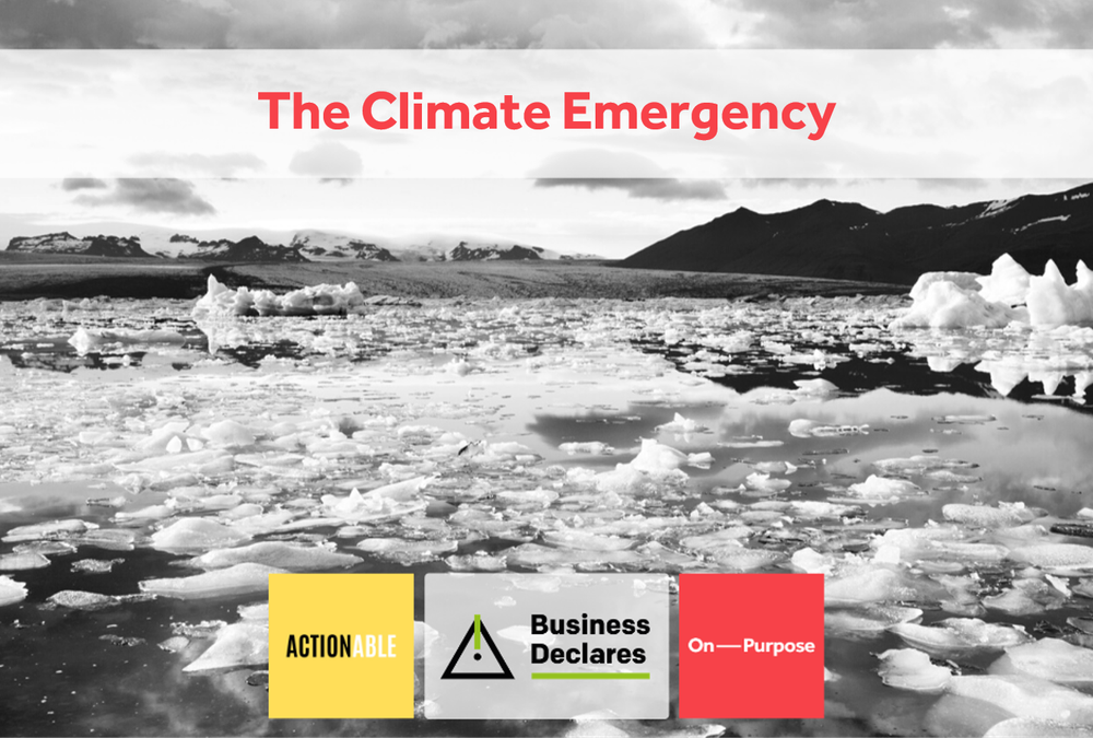 The Climate Emergency in the time of a pandemic_ What you can do about it